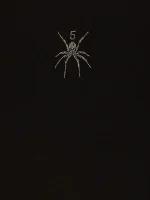 Sp5der Spider-Embellished T-Shirt Zoom in